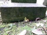 image of grave number 171566